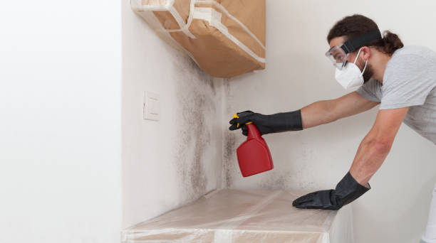 Professional Bathroom Mold Removal technician working in Brighton, MI